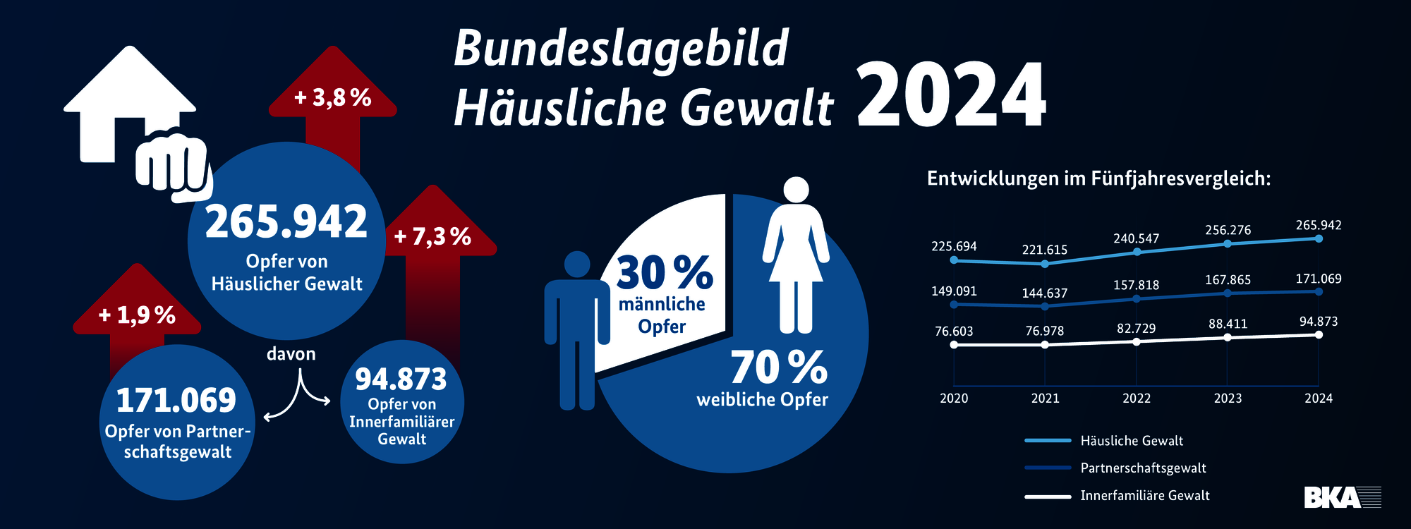 Grafik zum Bundeslagebild Haeusliche Gewalt 2024